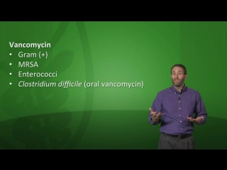 12l micro 14 other cell wall inhibitors