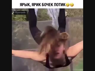 Ярки, бочок потик