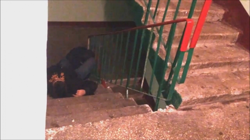 Подъездный трубадур