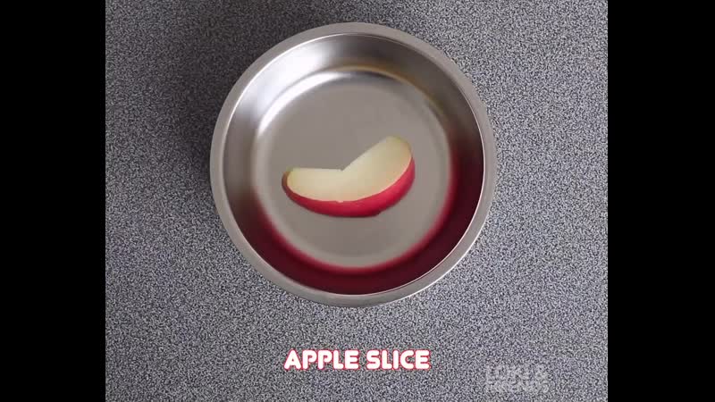 Asmr и песик (vhs video)