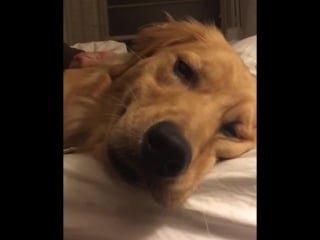 Джейс положи свой язык в рот