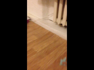 Мотя и лаура играют ))