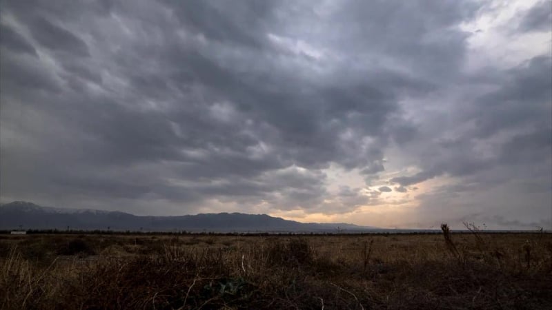 "ұлы дала дауысы" қайырымдылық концерті