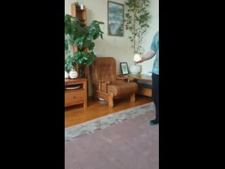 Mov 0365 000 mp4