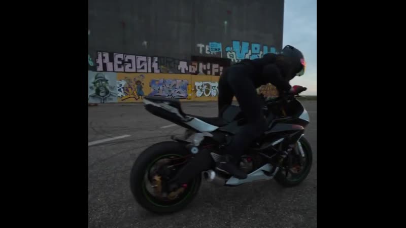 Сара лезито повседневные тренирои