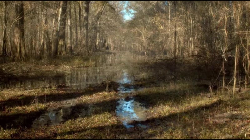 Акулы на свободе / sharkansas women's prison massacre (2016)