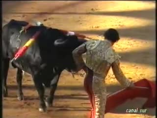 Algeciras toros de marcos nuñez para jose maria manzanares, cesar rincon y litri