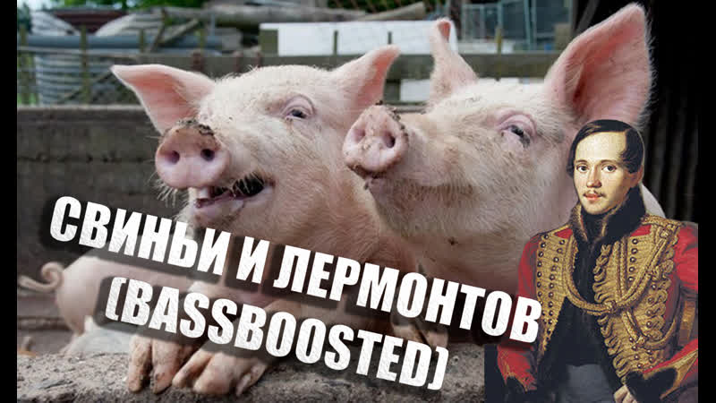 Свиньи трахаются под стих лермонтова (bassboosted)