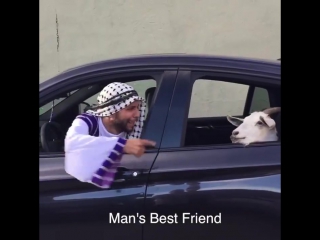 Подборка вайнов