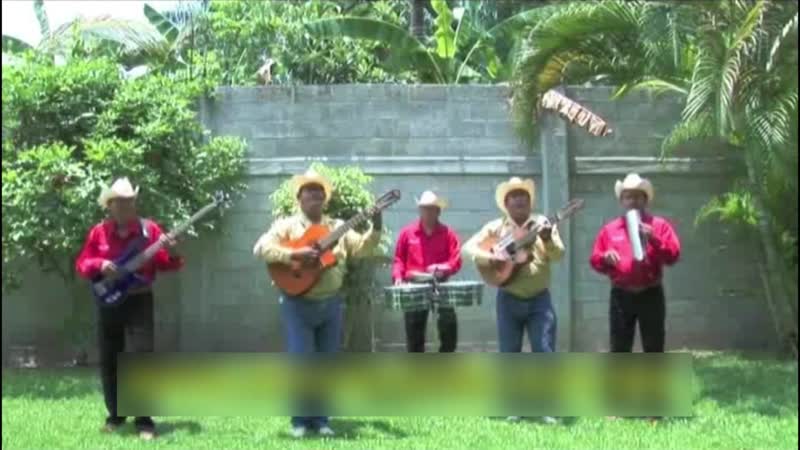 La ultima carta / no tenga na / pinotepa nacional / la siringa / la vida del pescador