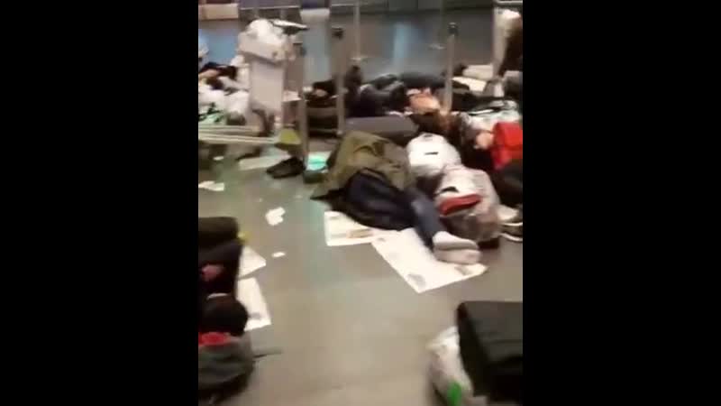 Таджики в аэропорту внуково в москве