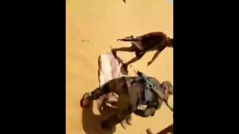 القوات المسلحة لإنها تعرف أن الحوثي لن يسأل عن جثث القتلى وهذا لايهمهم فتقوم بتجميعها من صحراء الجوف اليمن