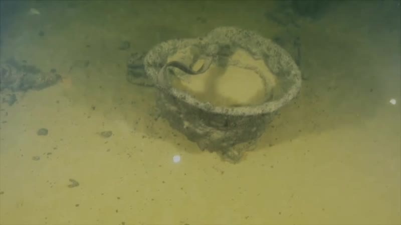 Водолазы подняли артефакты с немецкого миноносца, затонувшего в 1944 году