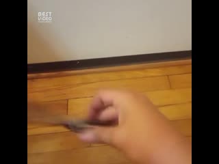 У пацанов в 90 х были свои вертушки 😎 e gfwfyjd d 90 [,skb cdjb dthneirb 😎 e gfwfyjd d 90 [,skb cdjb dthneirb 😎 e gfwfyjd d 90