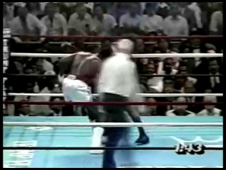 The best of iron mike tyson highlight
