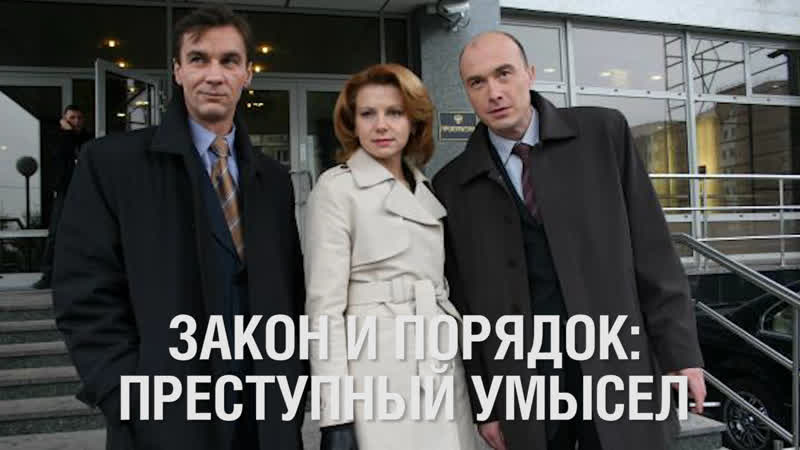 Юридические высказывания. Наследование доли в ооо. Пословицы на тему закон. Закон и порядок выражение. Цитаты великих людей о государстве.