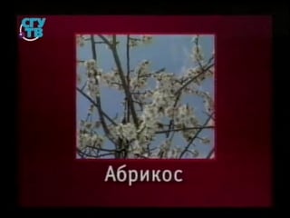 Пищевые растения урок 2 5 ягодные растения часть 1