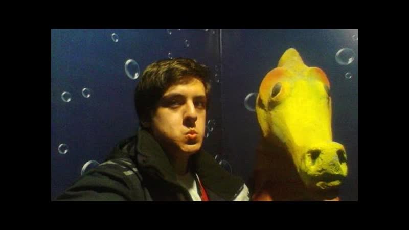 Vlog #1 волгоград, каникулы, океанариум