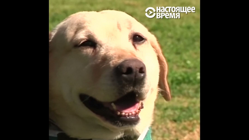 Как награждают молодые полицейских в боливии