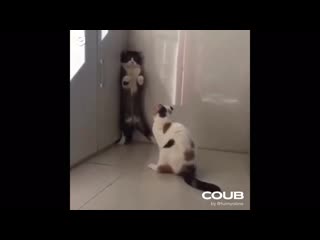 Being single is not bad i assume