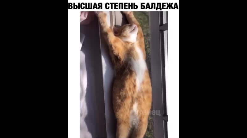 Кайфы porn video – Кайфы кайфули 👌