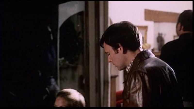 Из за кошек (1973, 18+) триллер, криминальная драма фонс радемакерс