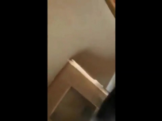 Псина из скайрима (vhs video)