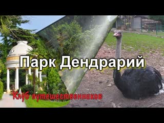 Клуб путешественников городские парки, музеи парк дендрарий (сочи, россия)