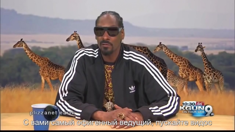 Планетуха земля летучие мыши и змеи rus