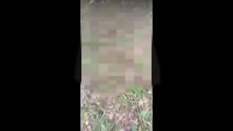 В стерлитамаке школьники сняли на видео избиение и унижение сверстника