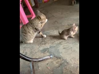 Daughter repeats after mom дочь повторяет за мамой