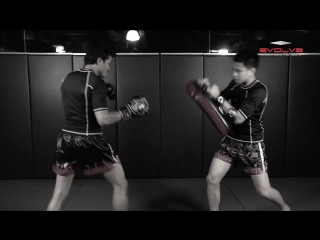 Muay thai left high kick k o fight breakdown evolve university