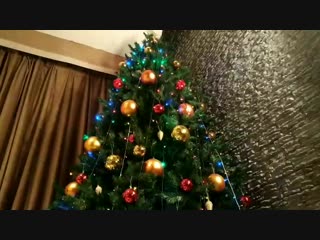 Vid 20181214 151052(0) mp4