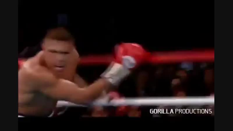 Тринидад варгас / felix trinidad vs fernando vargas nhbyblfl dfhufc / felix trinidad vs fernando vargas