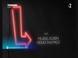 Ils s'aiment depuis 20 ans muriel robin et pierre palmade tv5 monde