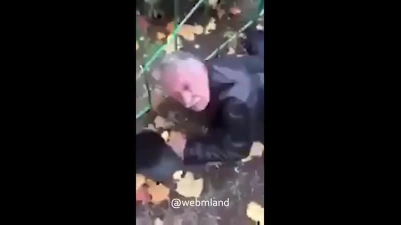 Доброе утро, сало уронили