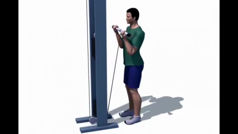 Сгибания рук на блоке