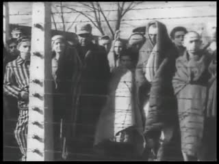 11 апреля отмечается Международный день освобождения узников фашистских концлагерей