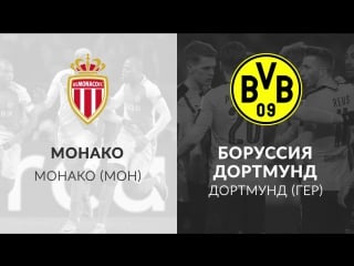 1xbet монако боруссия превью