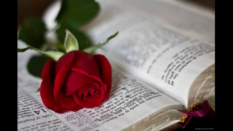 Мудрости жизни ✩💎ஜ۞ஜ💕✨► омар хайям ◄✨💕ஜ۞ஜ💎✩