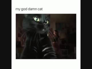 I'm the real star here karen