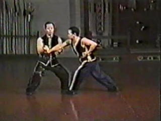 Хунгар hung gar tiger and crane sparring set