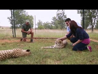 Porn planet человек и львы (джабула заказник больших кошек) / the lion man jabula big cat sanctuary / 2014 / 10