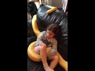 Just a little girl watching tv with her 12ft pet snake