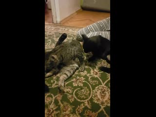 Умывашки у ксении😍😌😌😌 антошка и наоми