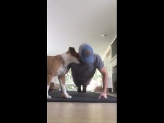 @ chris evans thank you to all the men and women who serve this country #22pushupchallenge @renner4real @anthonymackie