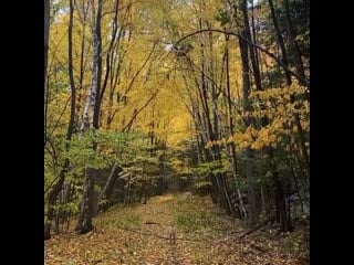 Haux on instagram (27 10 20)