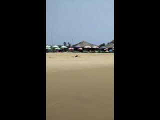 Vid 20180329 131037 mp4