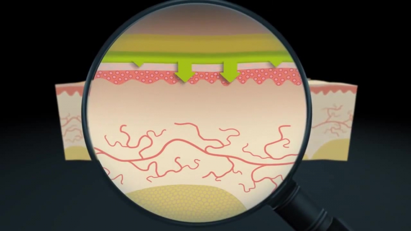 Здоровье с мейтан – здоровье без таблеток! (1)