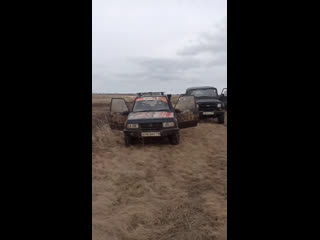 Live реальные кабаны ульяновская региональная общес